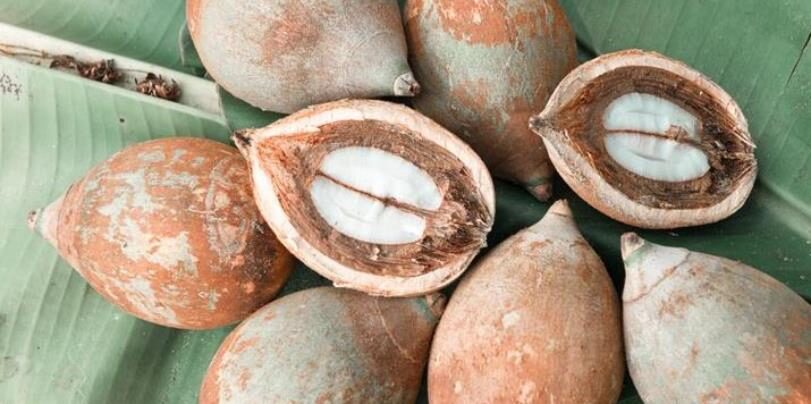 Babassu oil