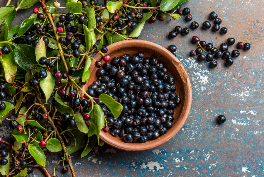 Maqui Berry